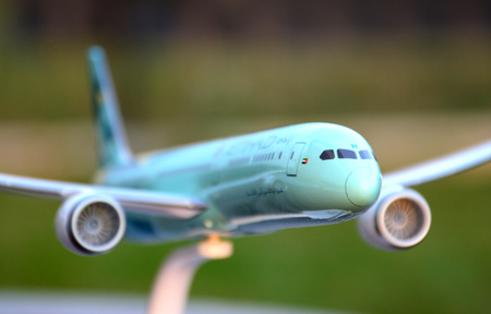 Boeing B787-10 Etihad, Greenliner A6-BMH (PPC)