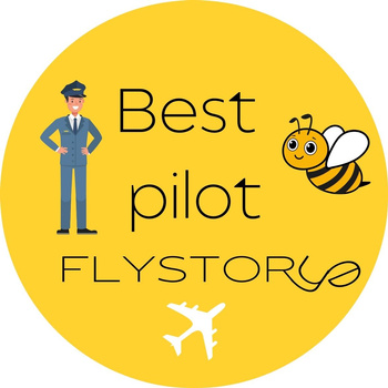 Naklejka Best pilot żółta